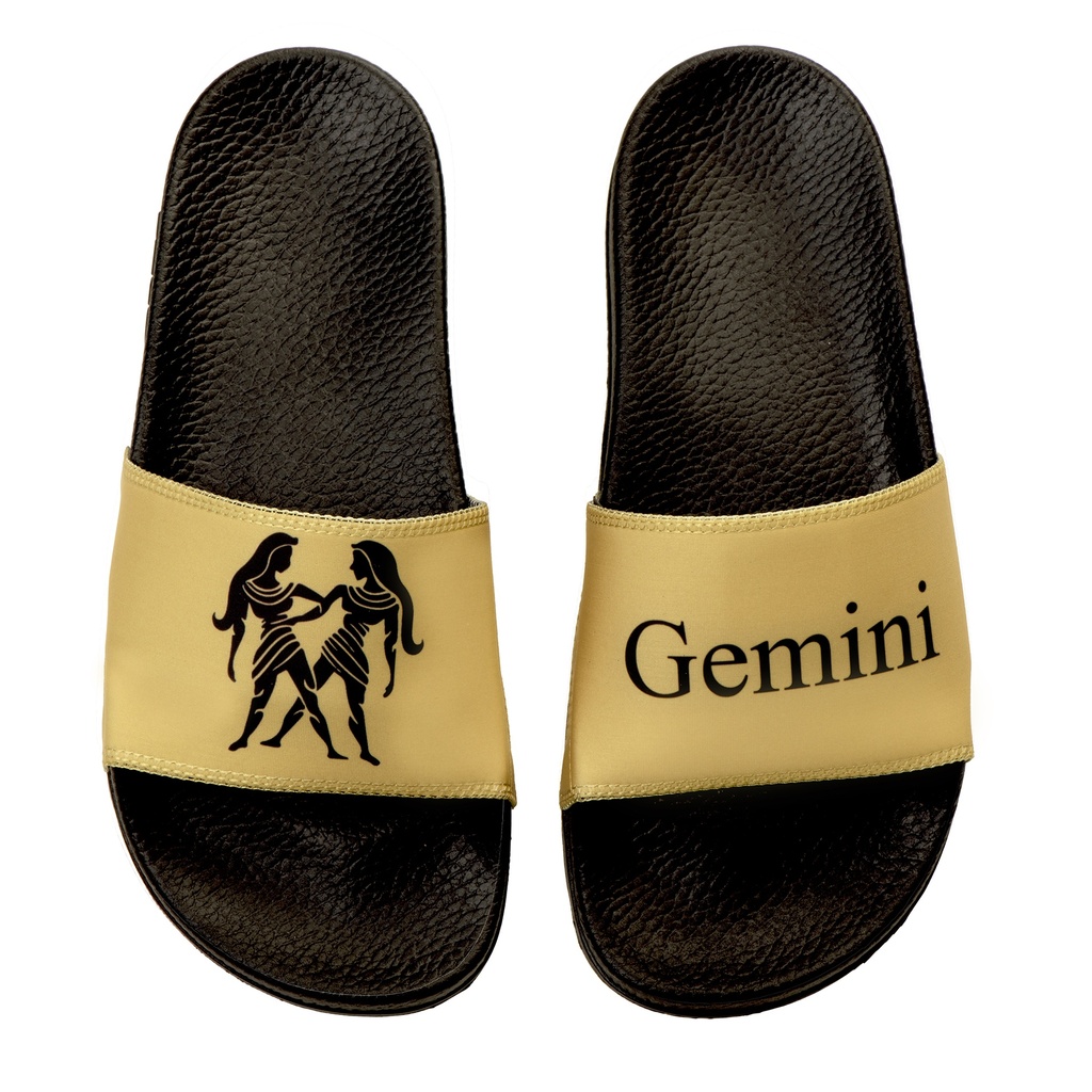 Gemini Zodiac Slide