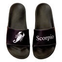 Scorpio Zodiac Slides