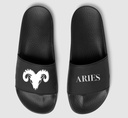 Aries Black and White
