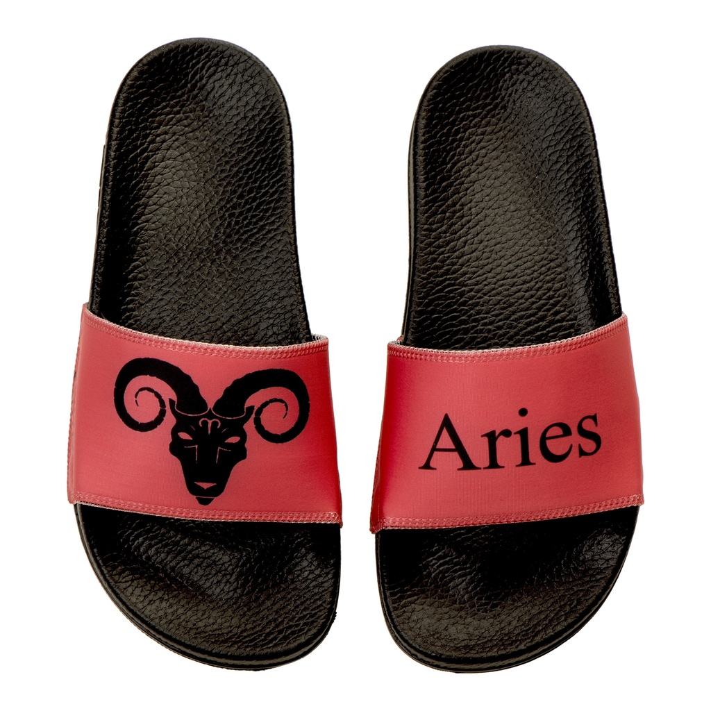 Aries Slide
