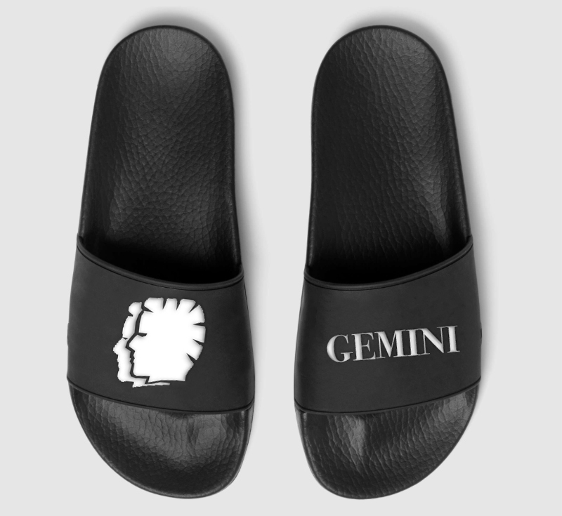 Gemini Zodiac Slide
