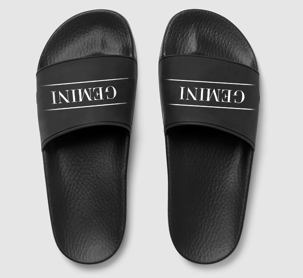 Gemini Zodiac Slide