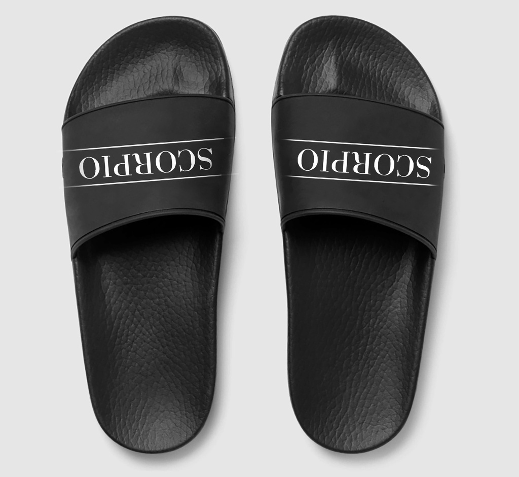 Scorpio Zodiac Slides