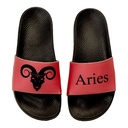 Aries Slide