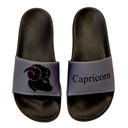Capricorn Zodiac Slide