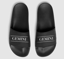 Gemini Zodiac Slide