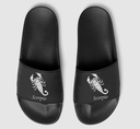 Scorpio Word and Symbol