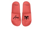 Aries Colored Slide