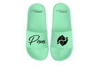 Pisces Colored Slide